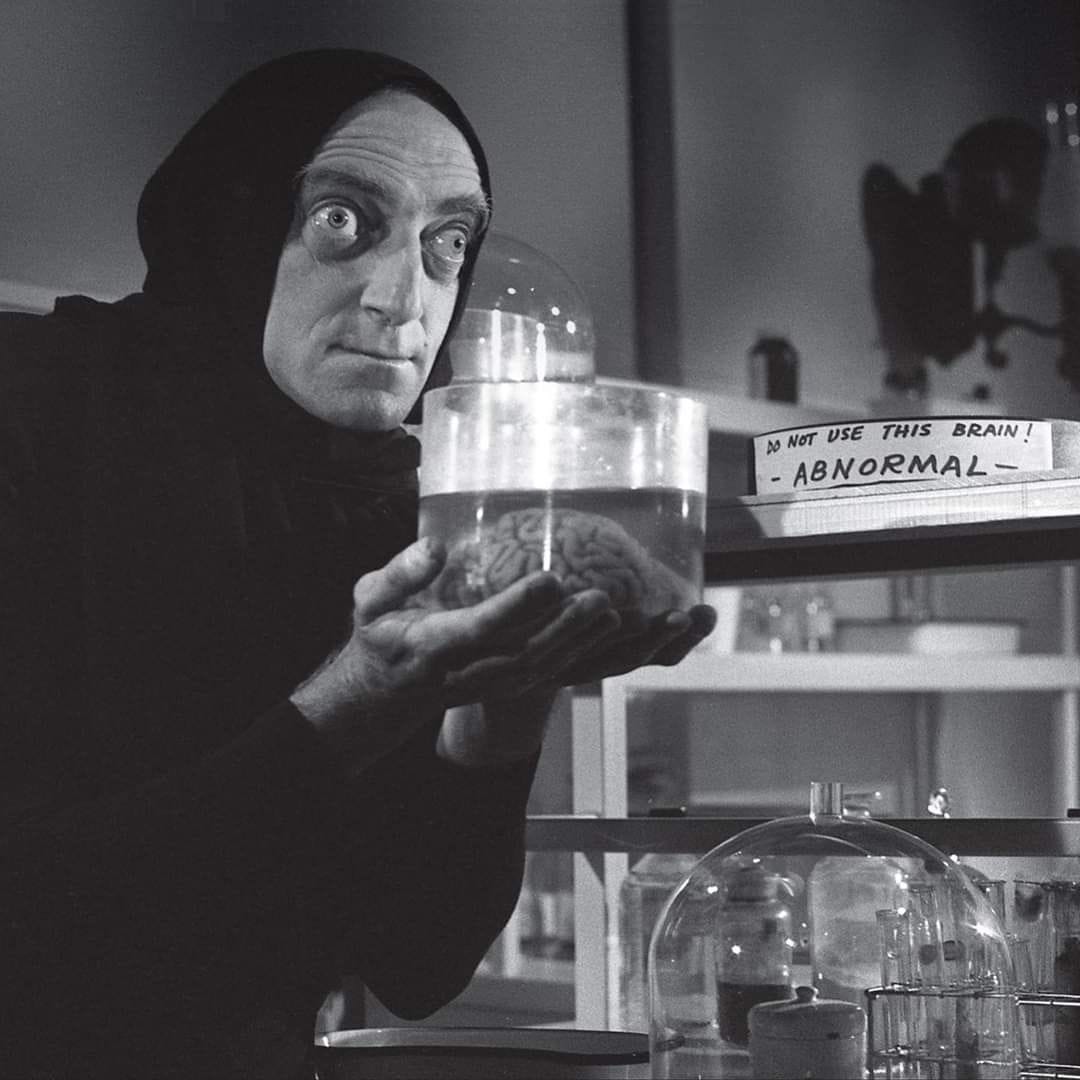 A screenshot from Young Frankenstein showing Igor grabbing the abnormal brain
